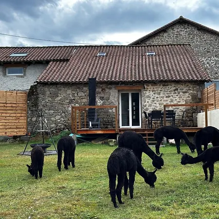 Alpaganie , Elevage D'alpagas, Domaine Prive 19ha, 3 Lacs, Peche, Animaux
